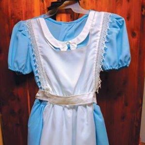 Alice In Wonderland Blue Dress Halloween Party